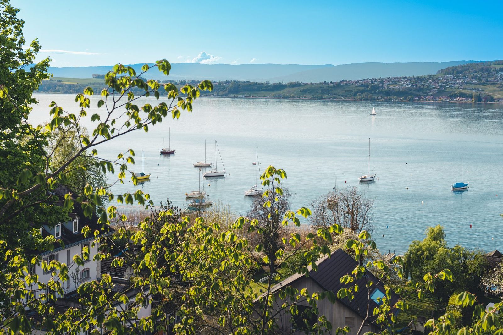 Murten – Stadt & Architektur, Lukas Lehmann