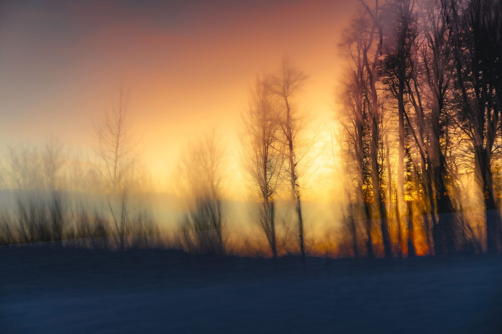 Himmel & Felder – Natur & Landschaft, Lukas Lehmann